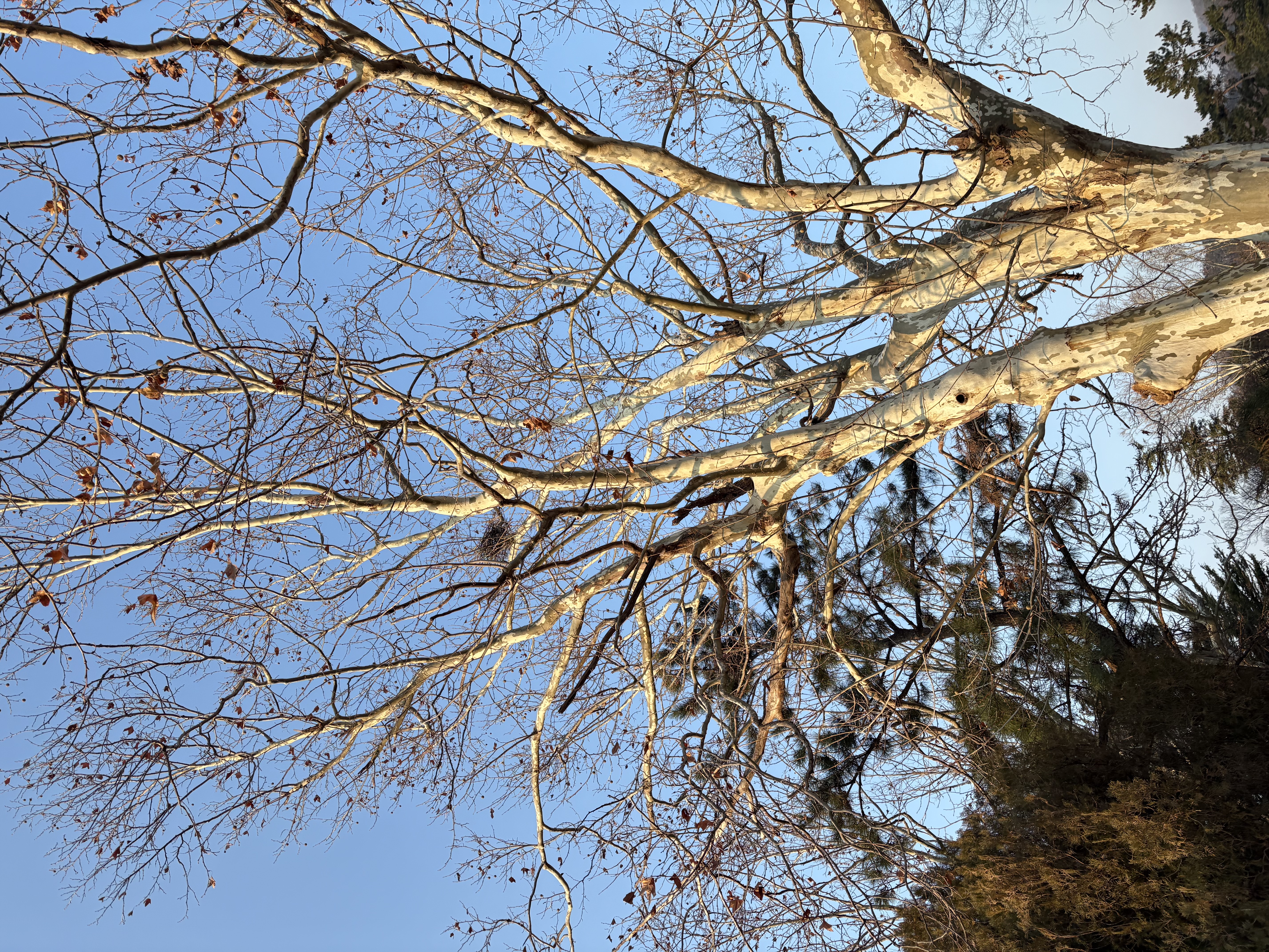 kakaotalk_20250120_105354314__1_.jpg